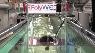 PolyWEC Dielectric Elastomer Generator for Wave Energy Converters