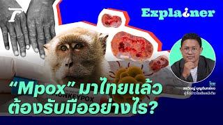 ฝีดาษวานร MPOX น่ากลัวแค่ไหน เราต้องเตรียมรับมืออย่างไร? l Thairath Explainer