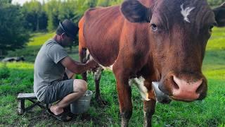 The Fascinating Life of a Lonely Cheesemaker in an Old Village How Is Real Cheese Made?