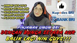 Pinjaman dengan bunga Setara KUR dibuka lagi Kupedes Suku Bunga Khusus BRI