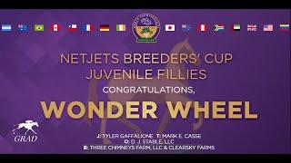 2022 Breeders Cup NetJets Juvenile Fillies - Wonder Wheel