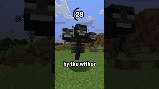 Guess the Minecraft block in 60 seconds 41