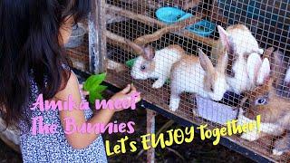 KIDS  Meet the Bunny at Umie house