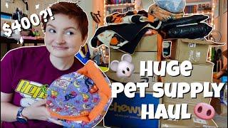 HUGE PET SUPPLIESACCESSORIES HAUL