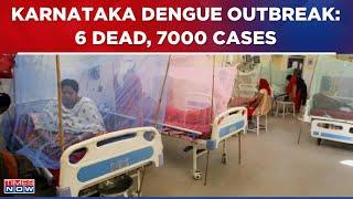 Karnataka Dengue Outbreak 6 Deaths & Over 7000 Cases Reported BJP Attacks Siddaramaiah Govt