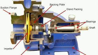 اجزاء المضخة الطاردة عن المركز وفائدة كل جزء parts of centrifugal pump