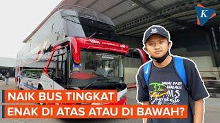 Posisi Duduk Bus Tingkat Enak di Atas atau di Bawah?