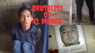 The Brutality Of Cartel Santa Rosa De Lima  Two Suspected C.J.N.G Members Meet A Horrific Demise