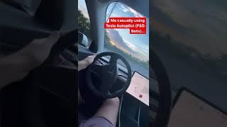 Me Vs My Passenger  Tesla Autopilot FSD Beta #tesla #shorts  #autopilot