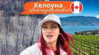 КЕЛОУНА Канада Туризм Природа Лесные Пожары Ферма с Кенгуру