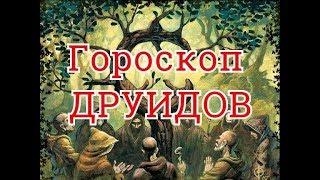 Гороскоп ДРУИДОВ.