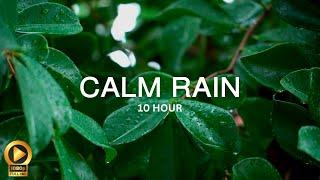 10 Hour  Spiritual Rain Meditation  Insomnia  Study  Focus  Spa  Calming Background Ambience