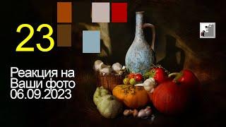 Реакция на Ваши фото 23