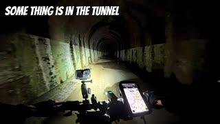 Cycling Dartmoor disused train tunnel alone at 2am i hear a bar being hit in one of the side tunnels