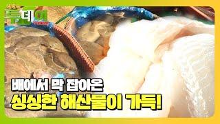 ‘싱싱한 해산물’ 가득한 오이도 선착장ㅣ생방송 투데이Live TodayㅣSBS Story