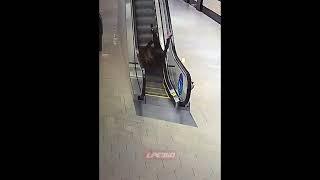 Two girls fall endlessly from escalator