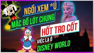 Những chuyện LẠ LÙNG ở Disney World Dưa Leo DBTT