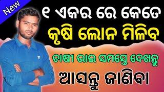 ୧ ଏକର ରେ କେତେ loan ମିଳିବkrushi Loan odishahow to apply crops loanco operative Bank loan#odisha