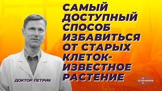 Самый доступный способ избавиться от старых клеток- давно известное растение.