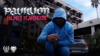 PAVILLION - PALME I FLAMINGOSI OFFICIAL VIDEO