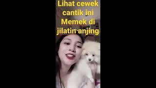 mek nya cewek cantik di JILATIN ANJING SAMPAIBL GELI #short