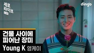 세로라이브 Young K DAY6 – 건물 사이에 피어난 장미 Rose Blossom  딩고뮤직  Dingo Music