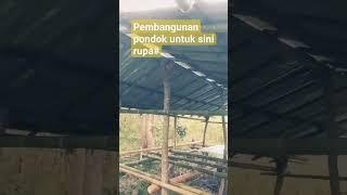 pembangunan pondok untuk berkeria seni rupa#video shorts#