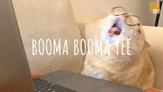 BOOMA BOOMA YEE - DJ IMUT REMIX  Vietsub + Lyric Tik Tok Song