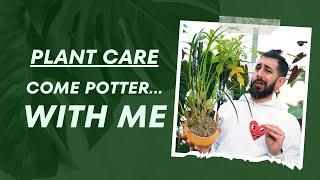  Repot with me... Without the repot  My Plant Care regime 