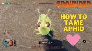 How To Tame an Aphid in Grounded  Grounded Guide