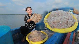 Fresh tiny shrimp  Buy tiny shrimp by boat for making recipe  Tiny shrimp cooking process