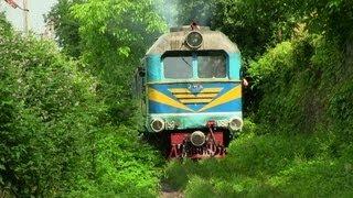 Боржавская УЖД ТУ2-098 близ ст. Виноградово-Зак.  Narrow gauge TU2-098 near Vinogradovo-Zak.