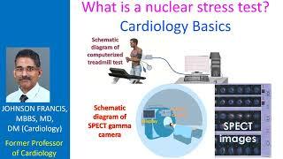 What is a nuclear stress test? Cardiology Basics