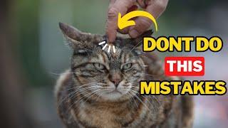 10 Common Mistakes cat Owners Make