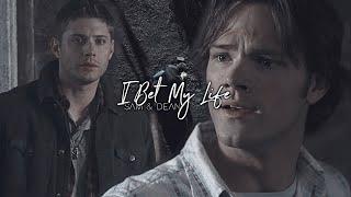 Sam & Dean • I Bet My Life {HBD Prairie}