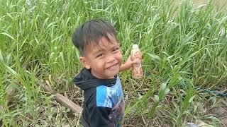 mancing bersama bocilmancing di #mancingliar rawaanak sungai target #ikanwader  @Gani94samarindafishing