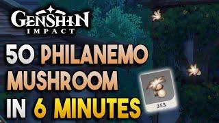 Philanemo Mushroom Locations - Fast and Efficient - Ascension Materials -【Genshin Impact】