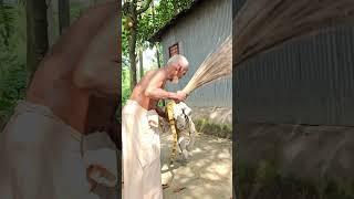 Epic Fake Tiger Scary Prank - Shocking Grandpa Reactions  Sagor Bhuyan