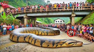 One In a Billion Moments In Nature Disasters Caught On Camera 2024 #74