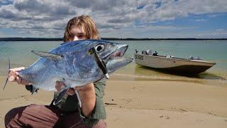 2 day ISLAND FISHING for MONSTER TUNA - Camping on FRASER SharkTunaMackerel