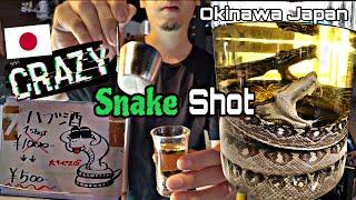 Crazy Nightlife In Japan Snake  Shots