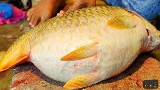  I Never Seen  Giant Carp Fish Cutting Live In Fish Market  Big Carp Fish Cutting Skills