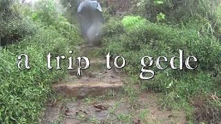 Mount Gede - Trekking in Pangrango National park Indonesia