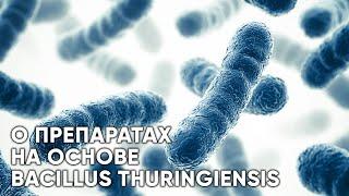 Инсектициды с Bacillus thuringiensis. Принцип действия. Особенности применения.