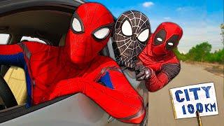 Superheros go to city  Spider-Man Venom Deadpool they are best friends  30-Minute