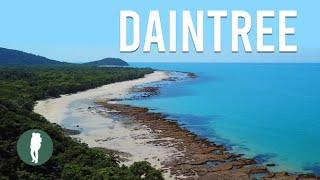 Daintree Rainforest Tropical North Queensland Australia Nature