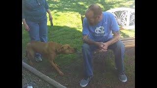 Dog Doesnt Recognize Owner After Weight Loss...Until He Sniffs Him