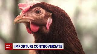 Ce a observat un bucătar român la carnea și ouăle aduse din Ucraina