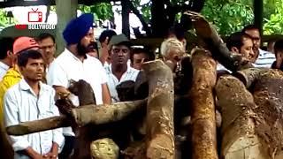 Dr Hathi Aka Kavi Kumar Azad Funeral Video  Taarak Mehta Ka Ooltah Chashmah