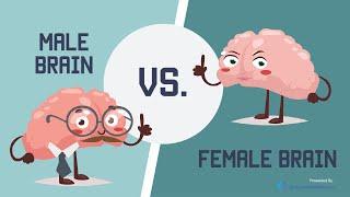 Male Brain vs Female Brain What is the Big Difference?